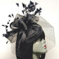 Brightness Fascinator